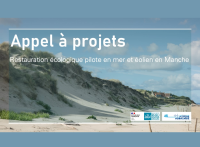 EMR - Un appel à projets de 1,5 million d'euros pour la restauration écologique en Manche