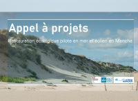 Appel à projets : 1,5 M euros pour soutenir la restauration écologique en mer en lien avec l'éolien offshore